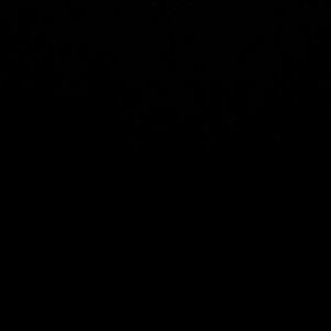 Meet your Posher, Hanny